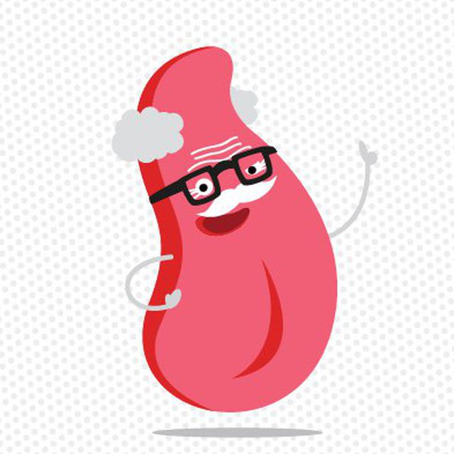 Advertising in Telegram. Telegram Channel logo "Солов'їна 2.0" Advertising in Telegram. Telegram Channel logo @solovina