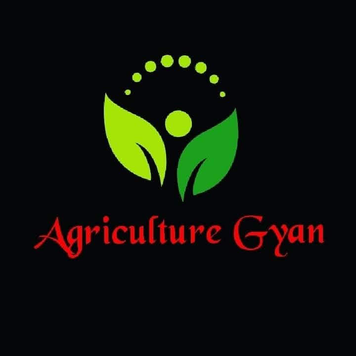 Advertising in Telegram. Telegram Channel logo "Agriculture Gyan" Advertising in Telegram. Telegram Channel logo @AgricultureGyan