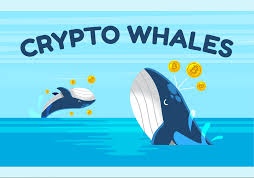 Advertising in Telegram. Telegram Channel logo "Crypto Whalse News" Advertising in Telegram. Telegram Channel logo @Teameaglesignal