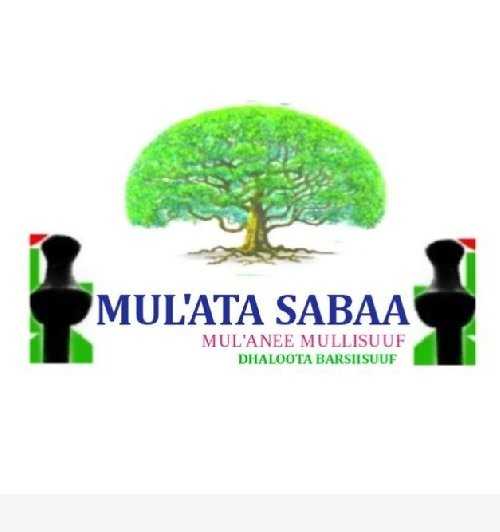 Advertising in Telegram. Telegram Channel logo "MUL'ATA SABAA" Advertising in Telegram. Telegram Channel logo @MULATA_SABAA