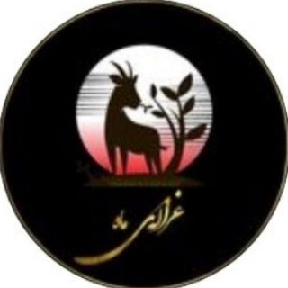 Advertising in Telegram. Telegram Channel logo "♡ghazaleemMah♡" Advertising in Telegram. Telegram Channel logo @ghazaleemahh