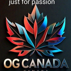 Advertising in Telegram. Telegram Channel logo "Ogcanada 💵💵🇪🇺🇲🇾🇳🇬🇬🇧🇺🇸⚽️⚽️⚽️" Advertising in Telegram. Telegram Channel logo Ogcanada 💵💵🇪🇺🇲🇾🇳🇬🇬🇧🇺🇸⚽️⚽️⚽️